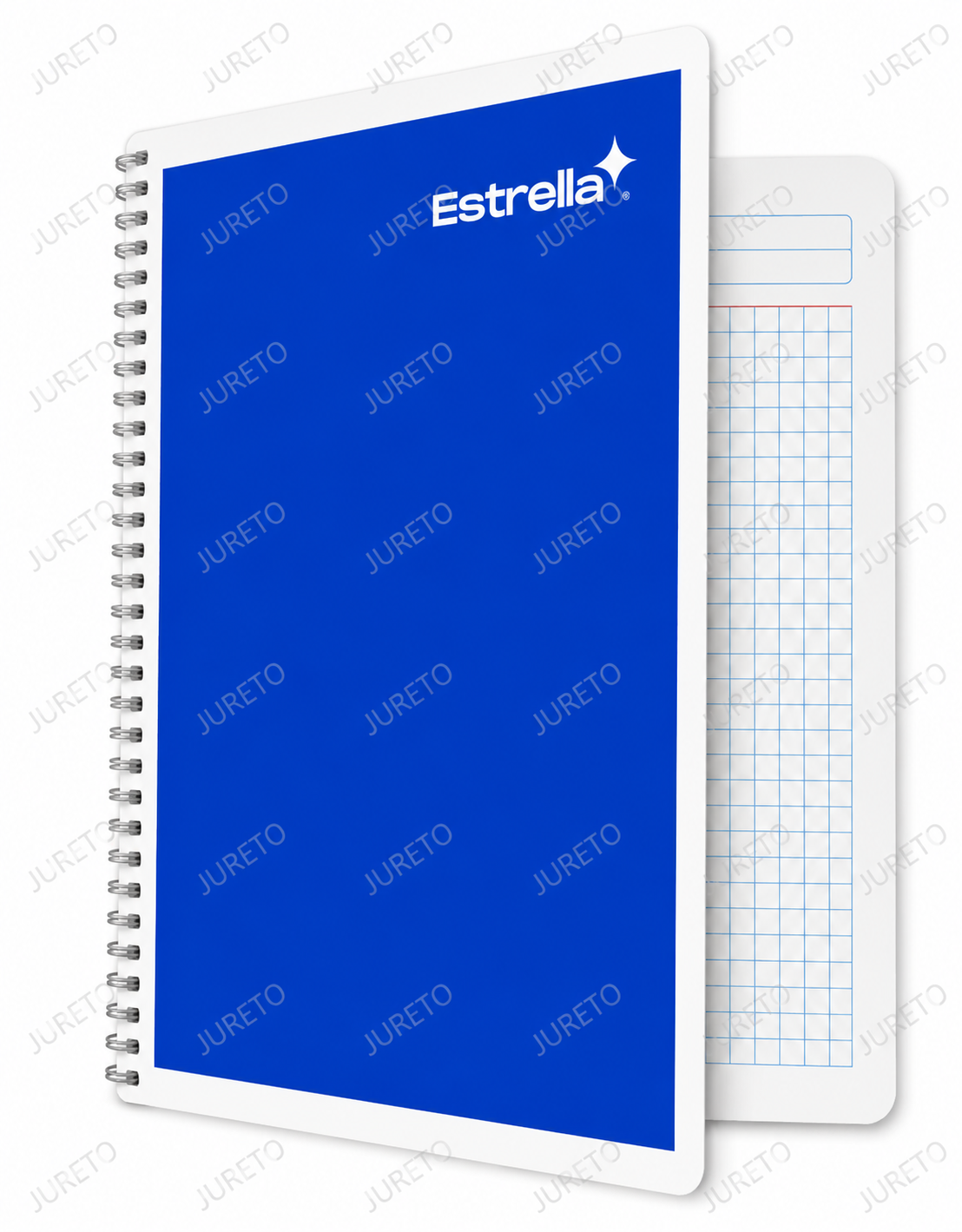 Vista 2